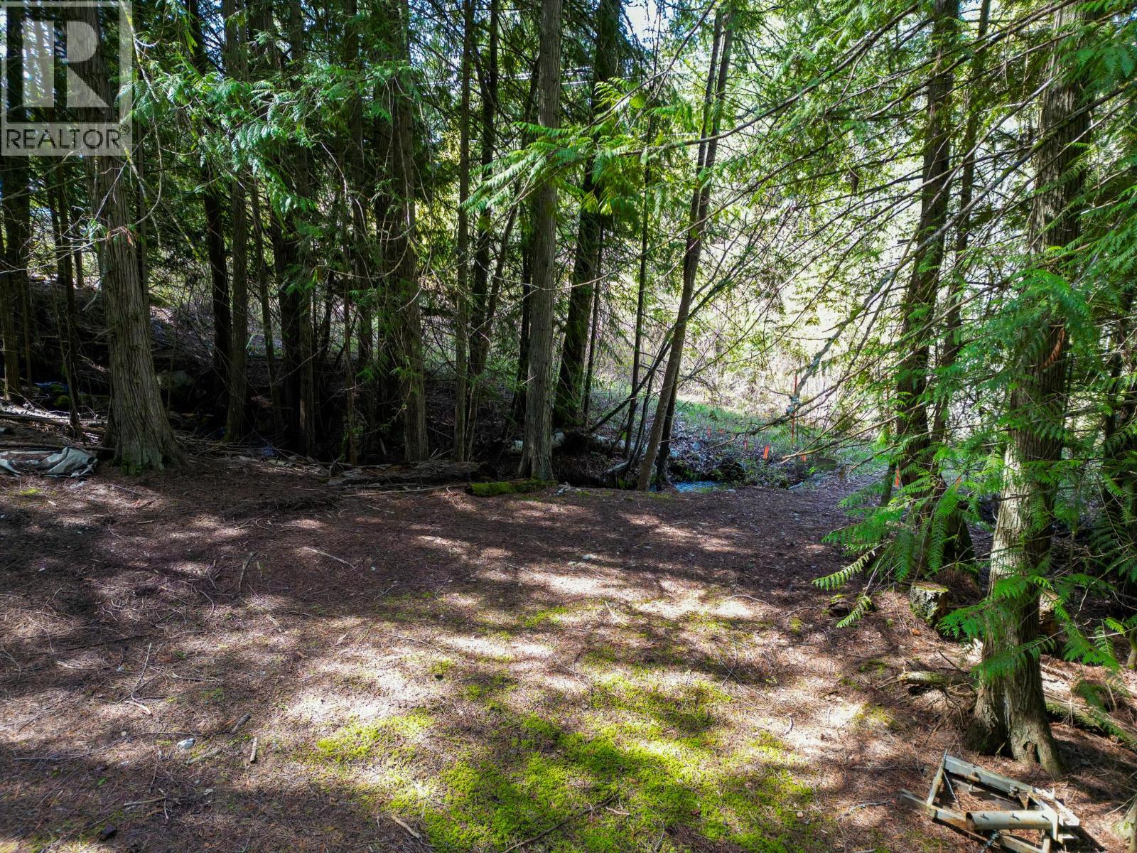 11110 3a Highway, Sanca, British Columbia  V0B 1A2 - Photo 47 - 10366379