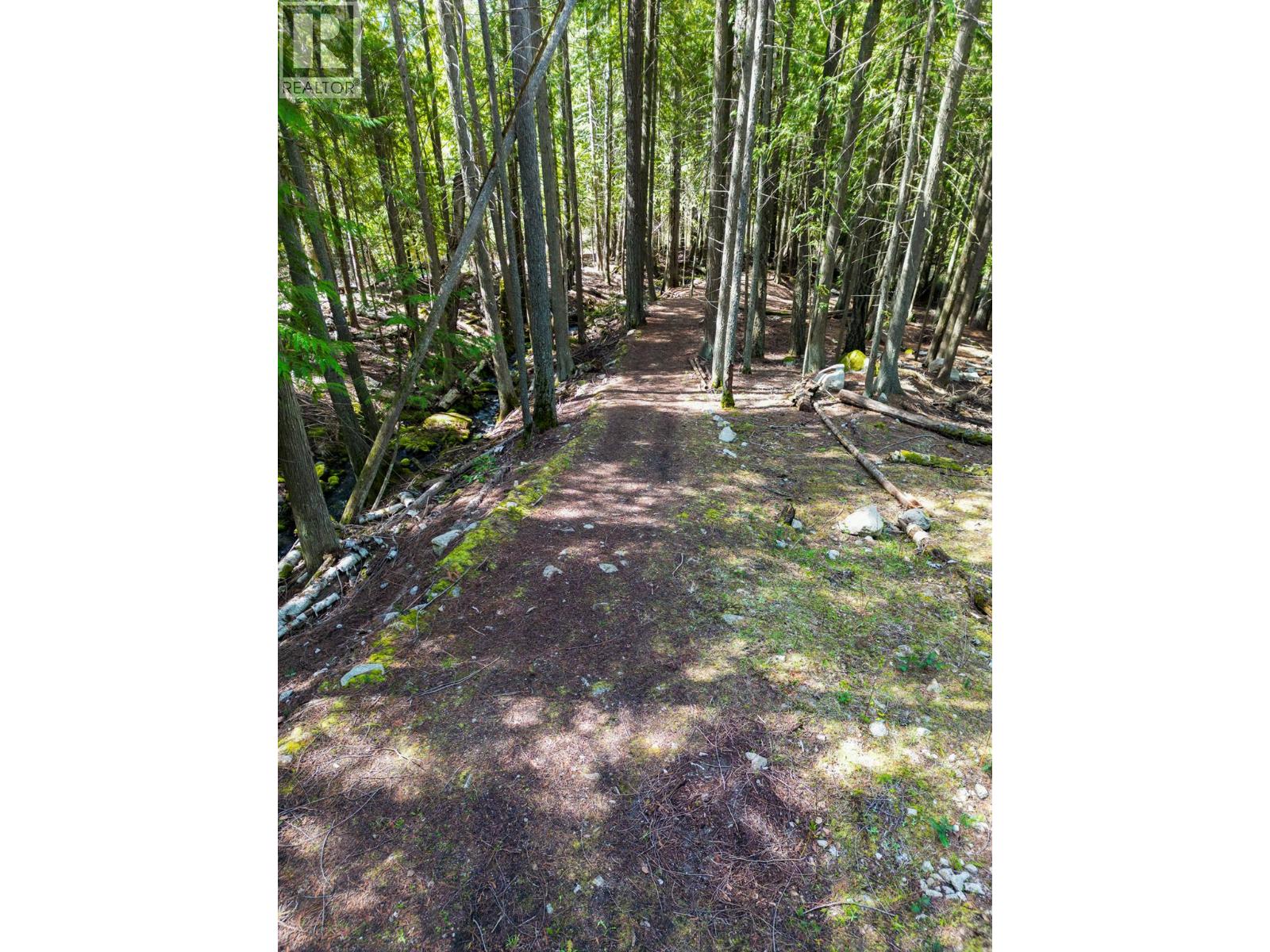 11110 3a Highway, Sanca, British Columbia  V0B 1A2 - Photo 49 - 10366379