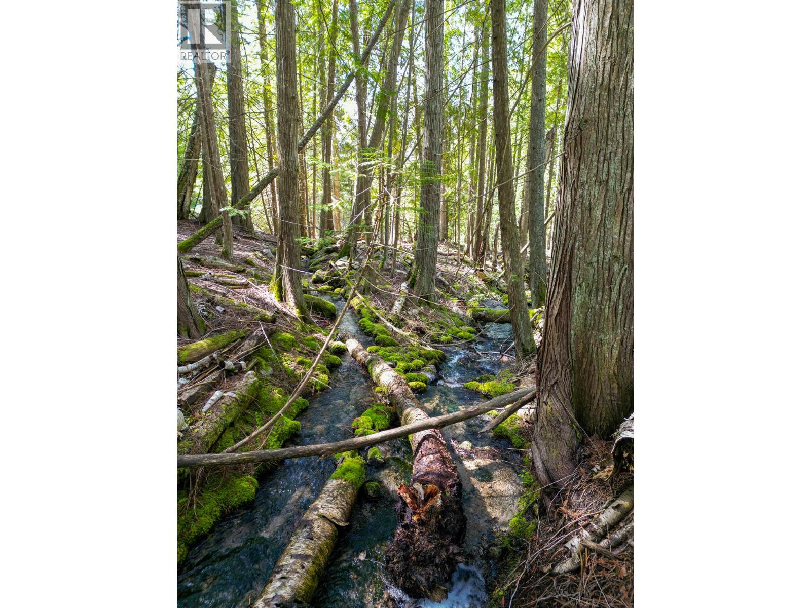 11110 3a Highway, Sanca, British Columbia  V0B 1A2 - Photo 50 - 10366379