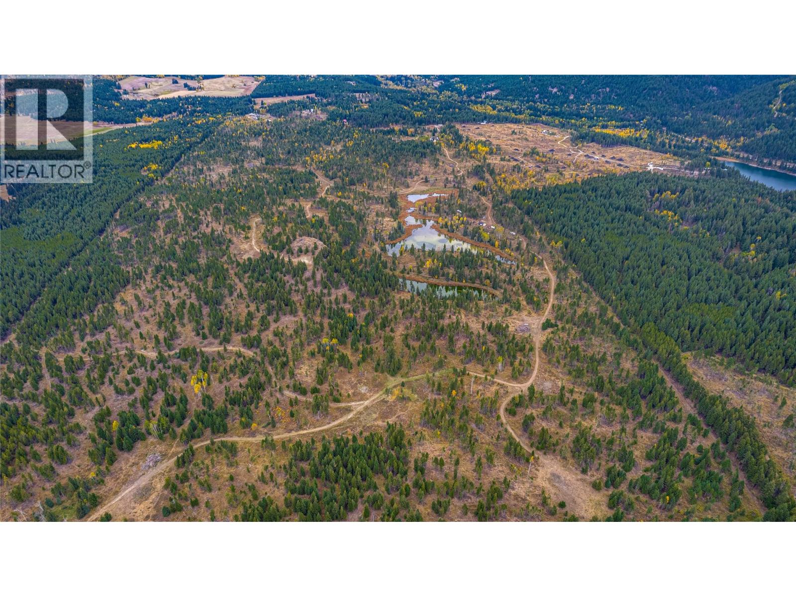 Sw Moser Road, Falkland, British Columbia  V0E 1W1 - Photo 10 - 10366370