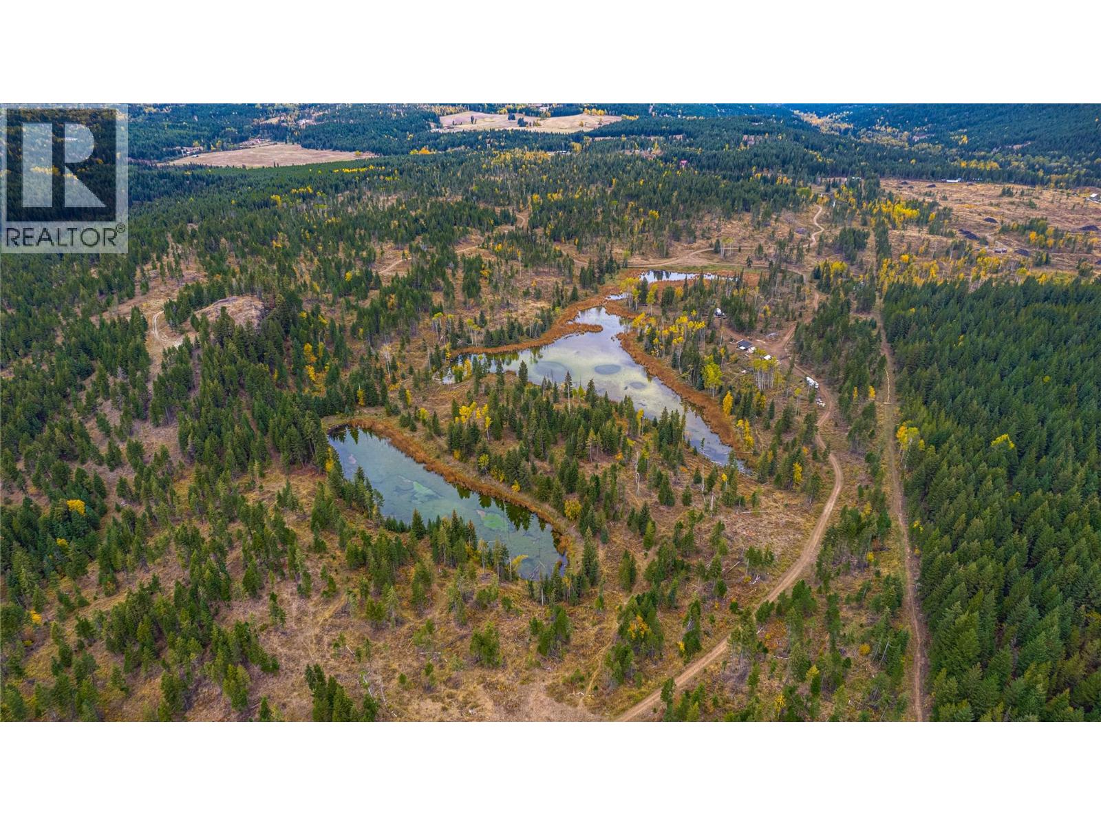 Sw Moser Road, Falkland, British Columbia  V0E 1W1 - Photo 11 - 10366370