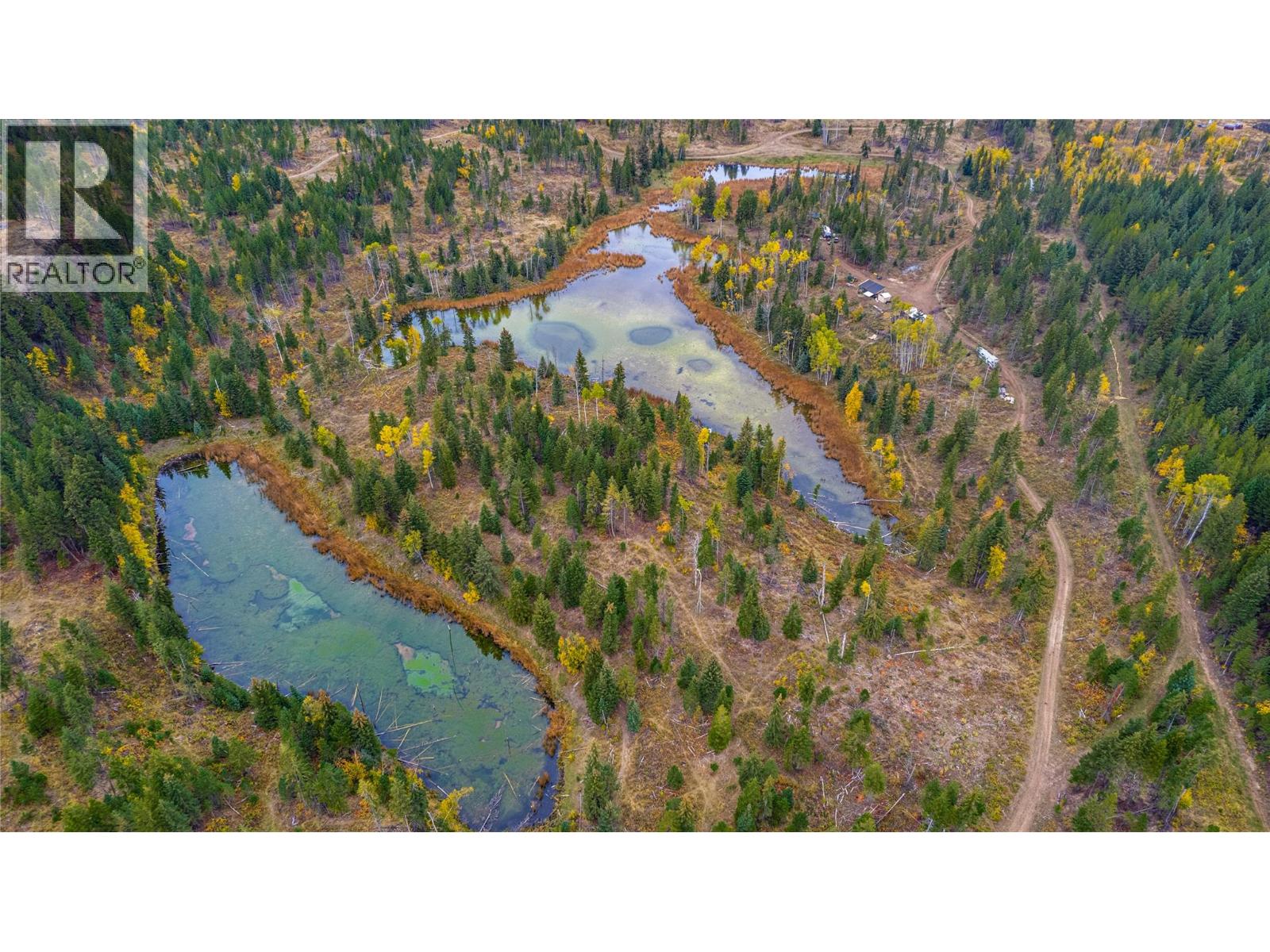 Sw Moser Road, Falkland, British Columbia  V0E 1W1 - Photo 12 - 10366370