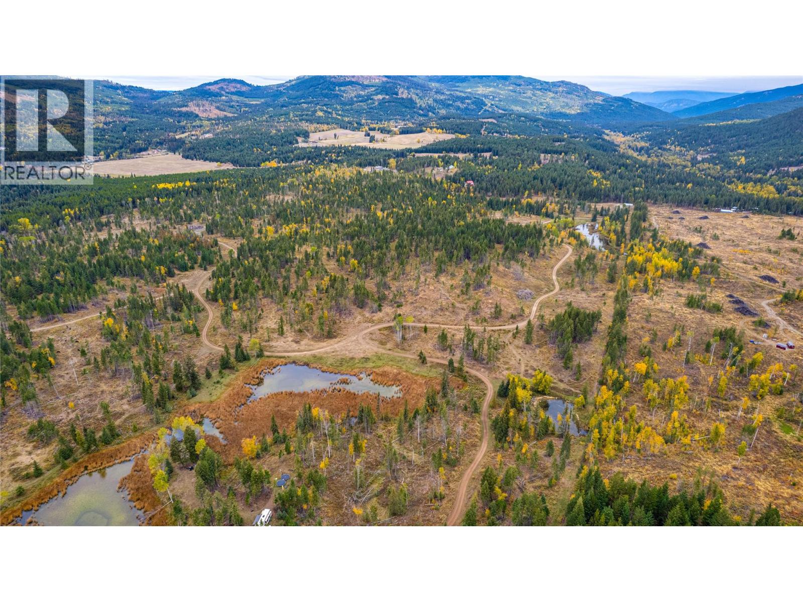 Sw Moser Road, Falkland, British Columbia  V0E 1W1 - Photo 13 - 10366370