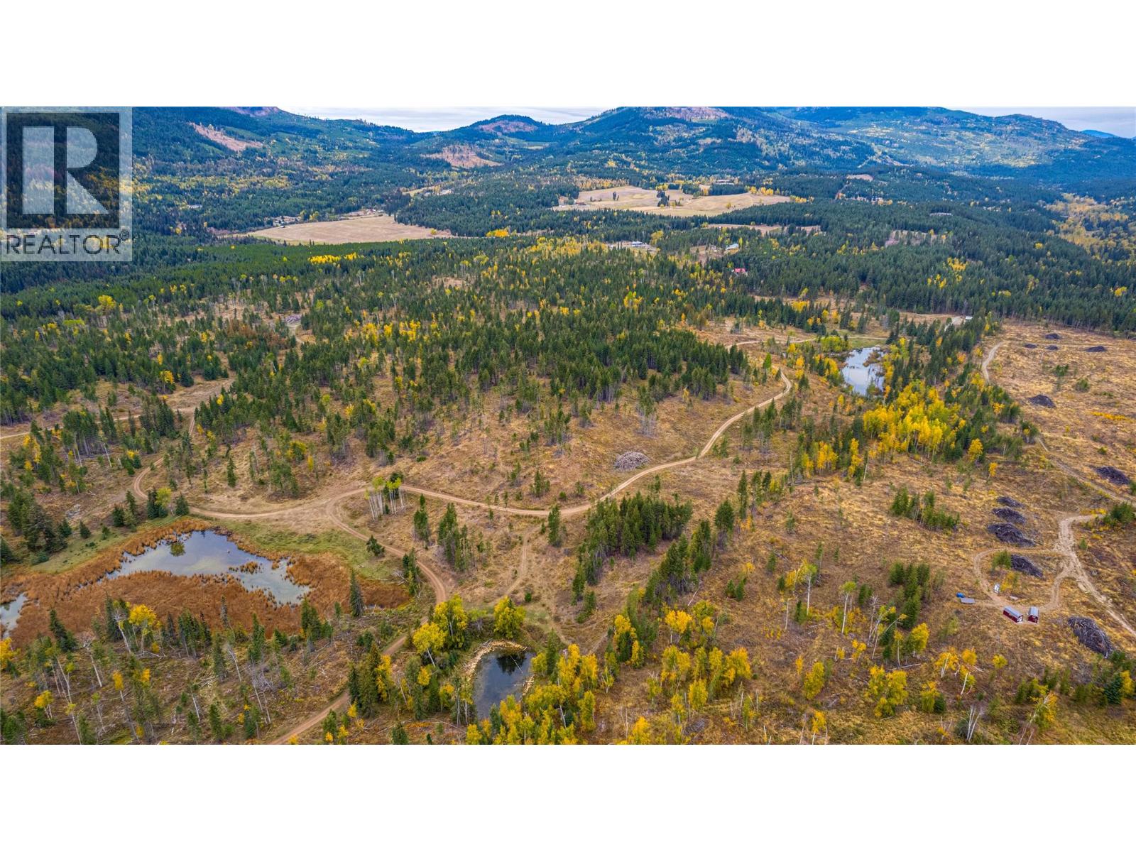 Sw Moser Road, Falkland, British Columbia  V0E 1W1 - Photo 14 - 10366370