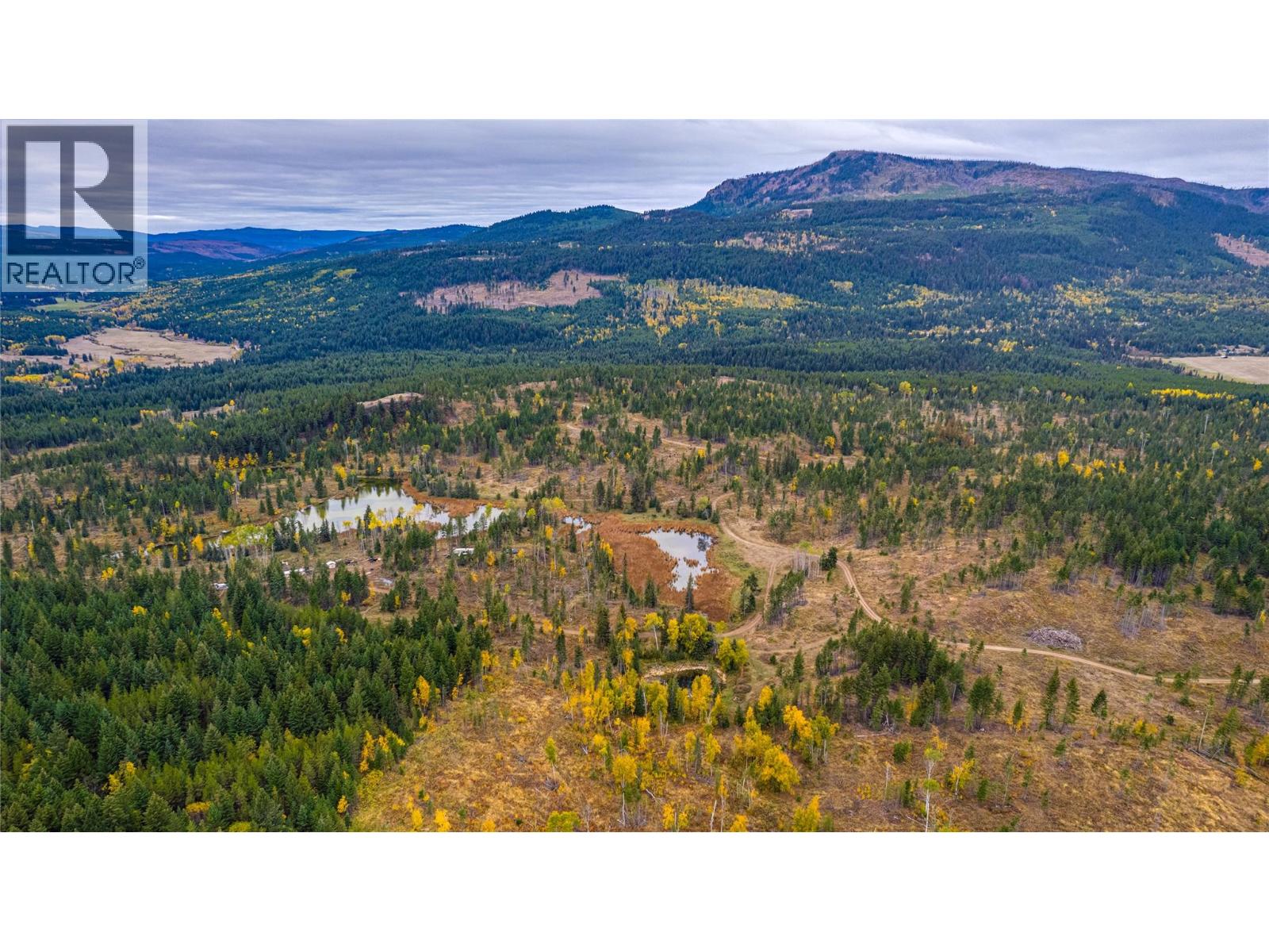 Sw Moser Road, Falkland, British Columbia  V0E 1W1 - Photo 15 - 10366370