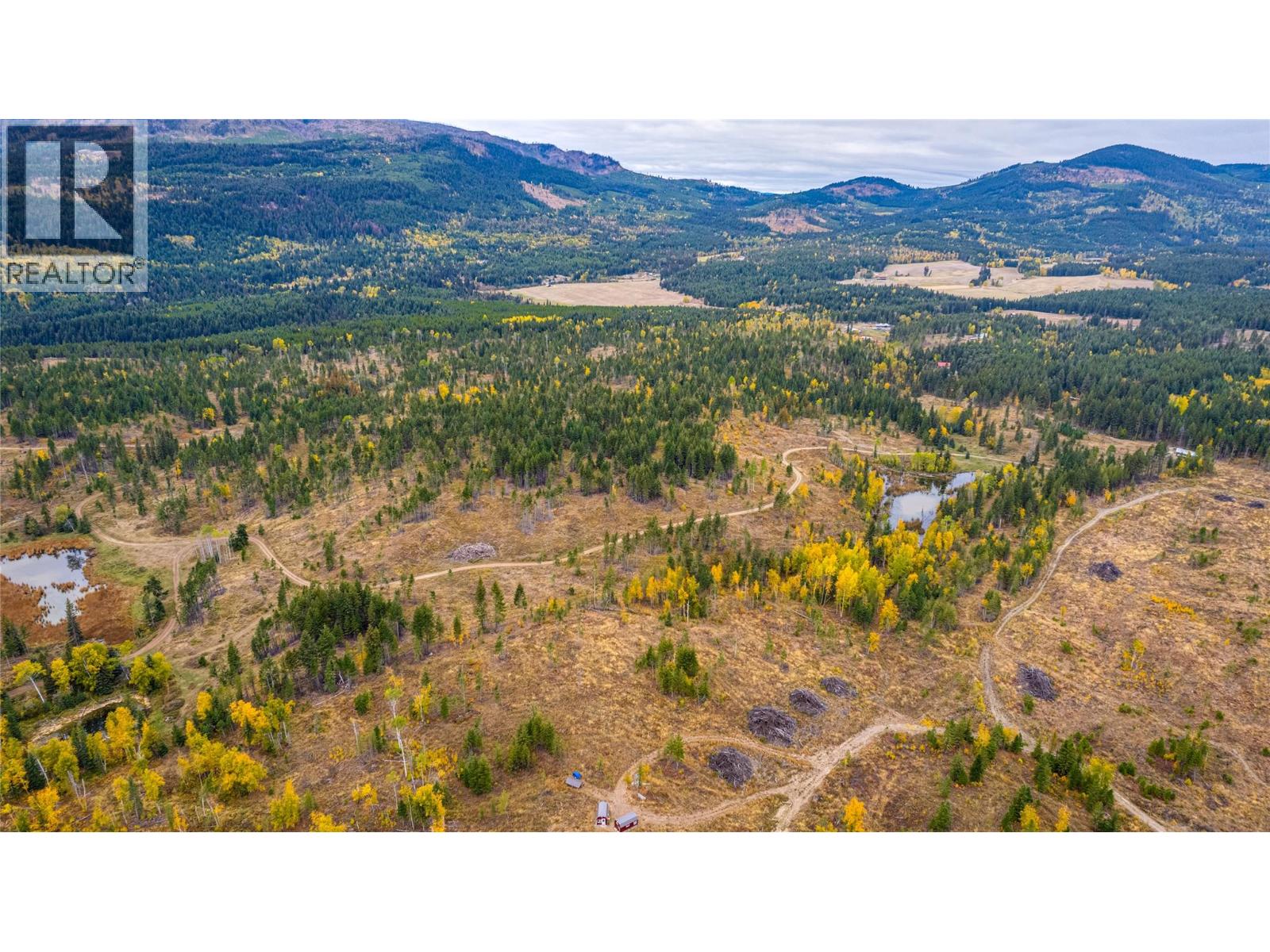 Sw Moser Road, Falkland, British Columbia  V0E 1W1 - Photo 16 - 10366370