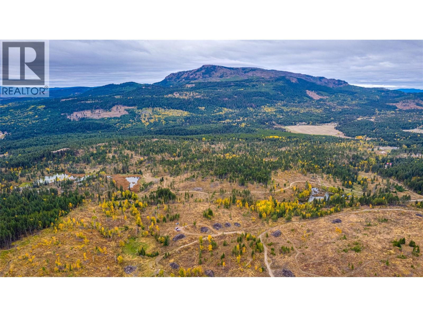 Sw Moser Road, Falkland, British Columbia  V0E 1W1 - Photo 17 - 10366370