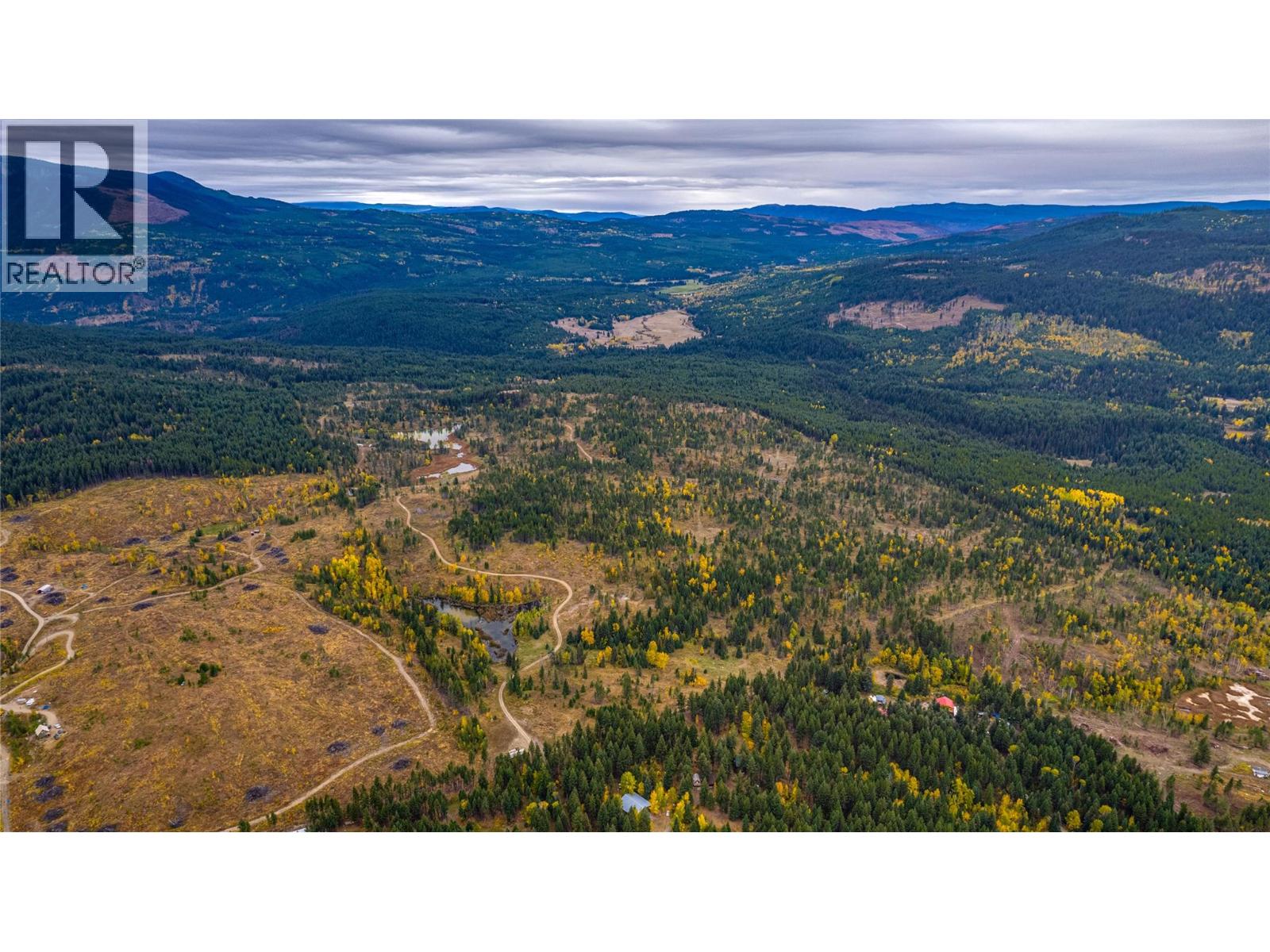 Sw Moser Road, Falkland, British Columbia  V0E 1W1 - Photo 3 - 10366370