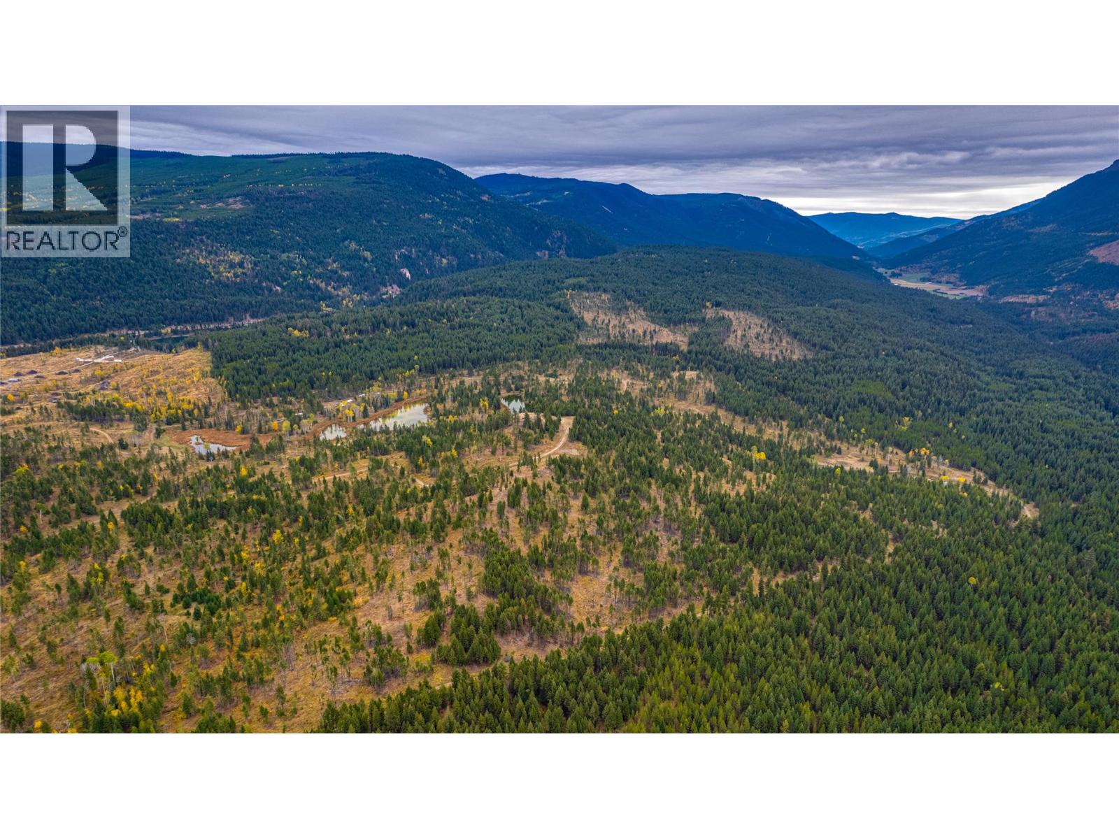 Sw Moser Road, Falkland, British Columbia  V0E 1W1 - Photo 5 - 10366370