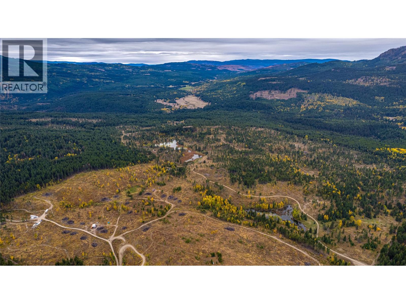 Sw Moser Road, Falkland, British Columbia  V0E 1W1 - Photo 6 - 10366370