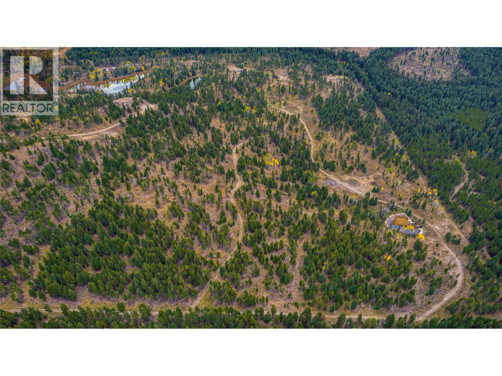 Sw Moser Road, Falkland, British Columbia  V0E 1W1 - Photo 8 - 10366370