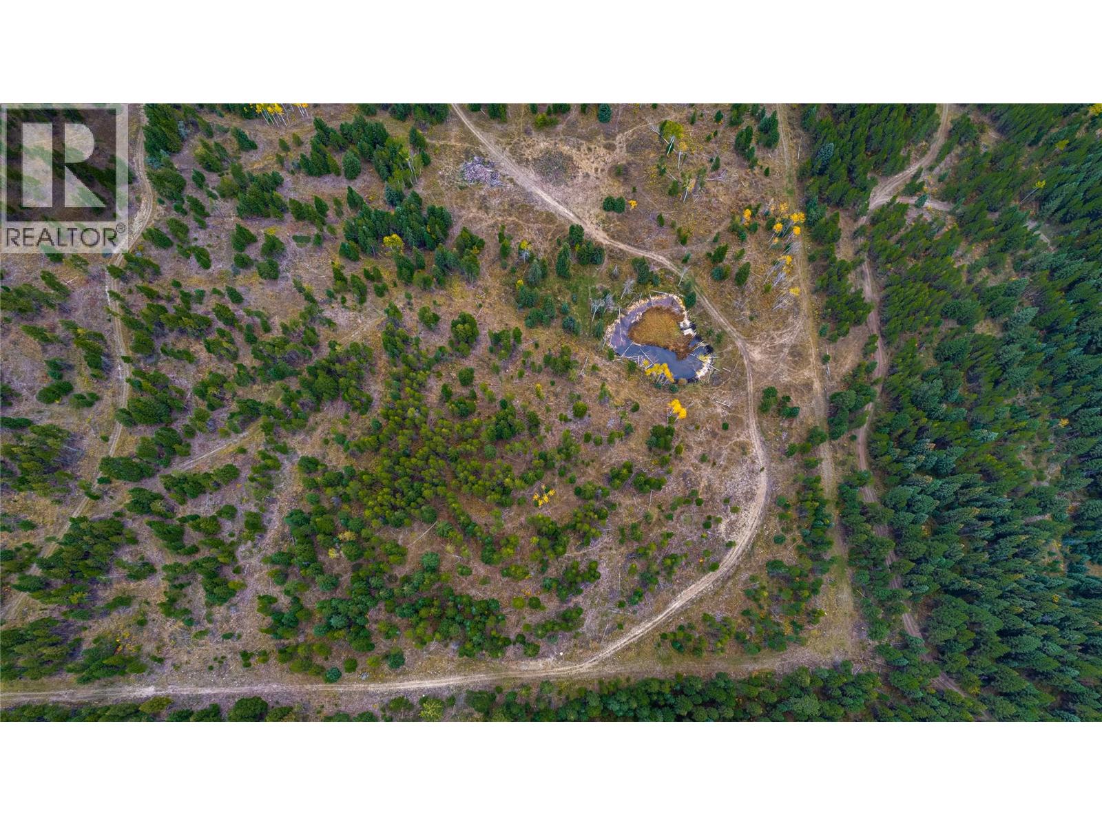 Sw Moser Road, Falkland, British Columbia  V0E 1W1 - Photo 9 - 10366370