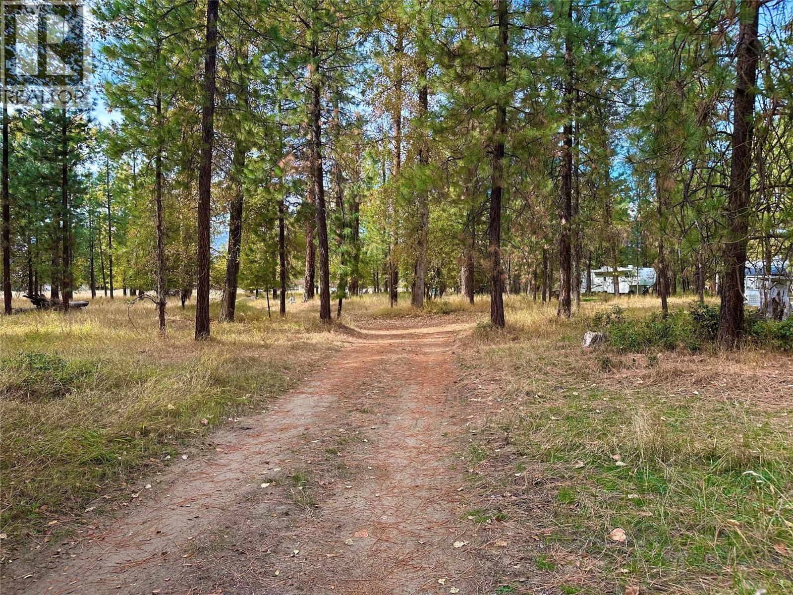 6380 12th Street, Grand Forks, British Columbia  V0H 1H0 - Photo 19 - 10366598