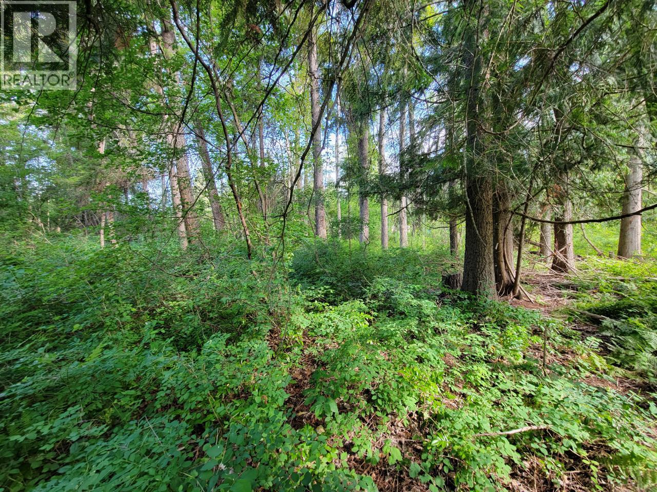 Lot 1 Passmore Old Road, Passmore, British Columbia  V0G 2J0 - Photo 15 - 10366555