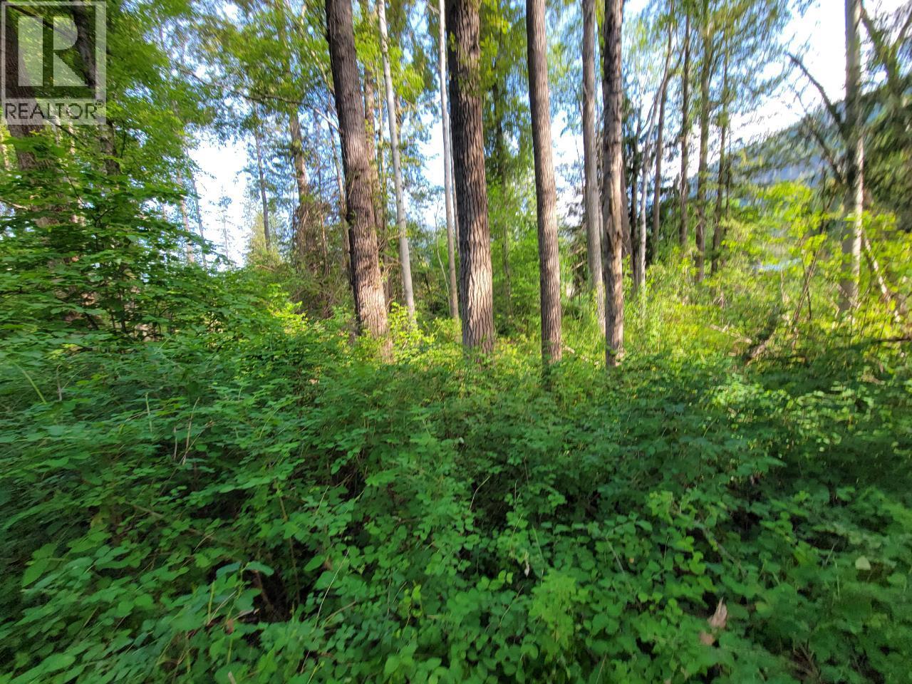 Lot 1 Passmore Old Road, Passmore, British Columbia  V0G 2J0 - Photo 16 - 10366555