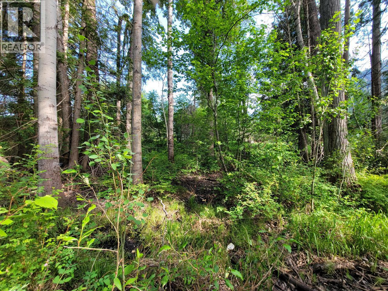 Lot 1 Passmore Old Road, Passmore, British Columbia  V0G 2J0 - Photo 18 - 10366555