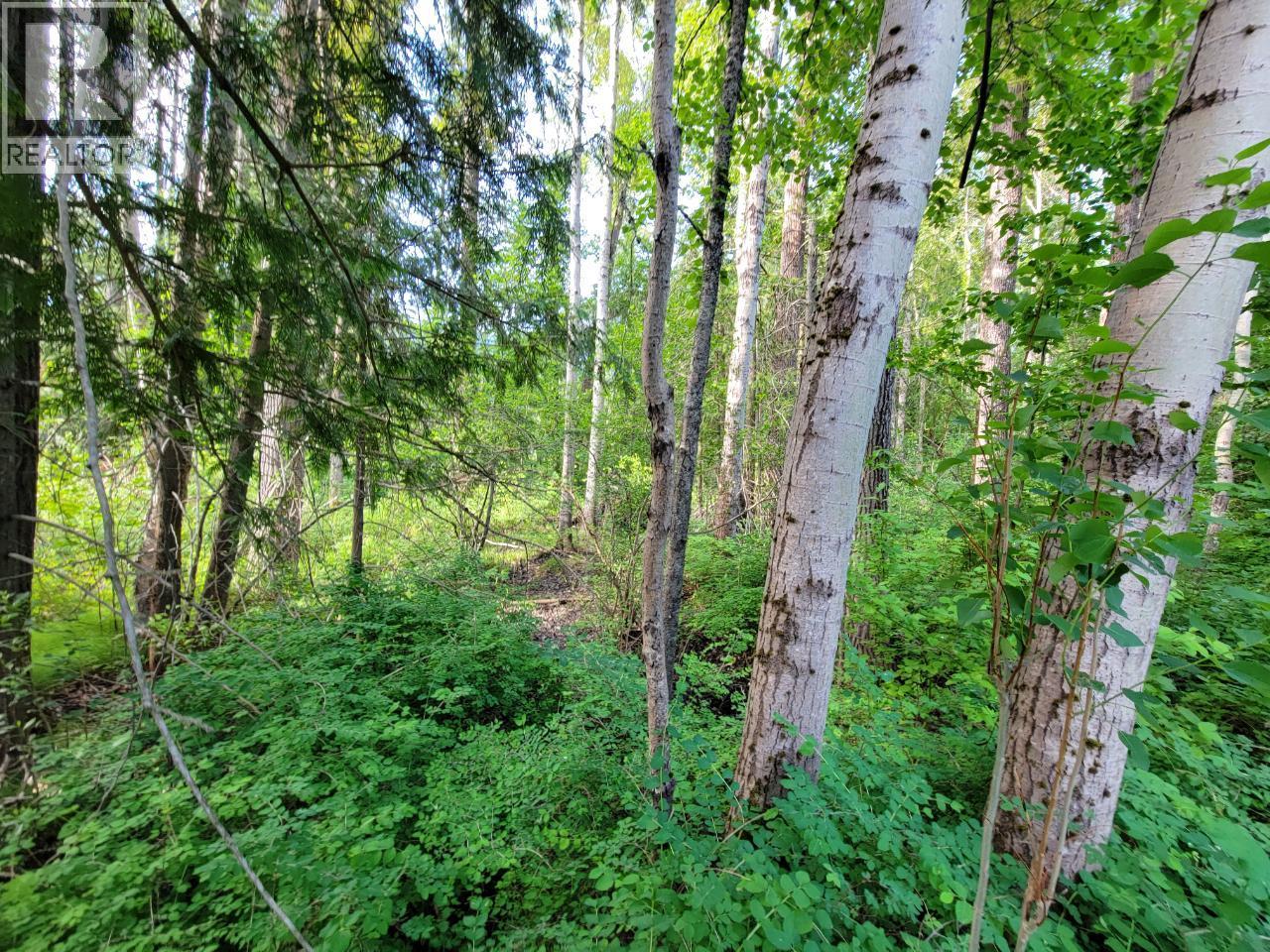 Lot 1 Passmore Old Road, Passmore, British Columbia  V0G 2J0 - Photo 21 - 10366555