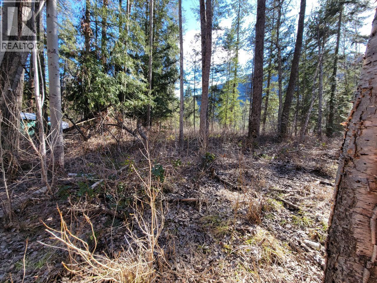 Lot 1 Passmore Old Road, Passmore, British Columbia  V0G 2J0 - Photo 9 - 10366555