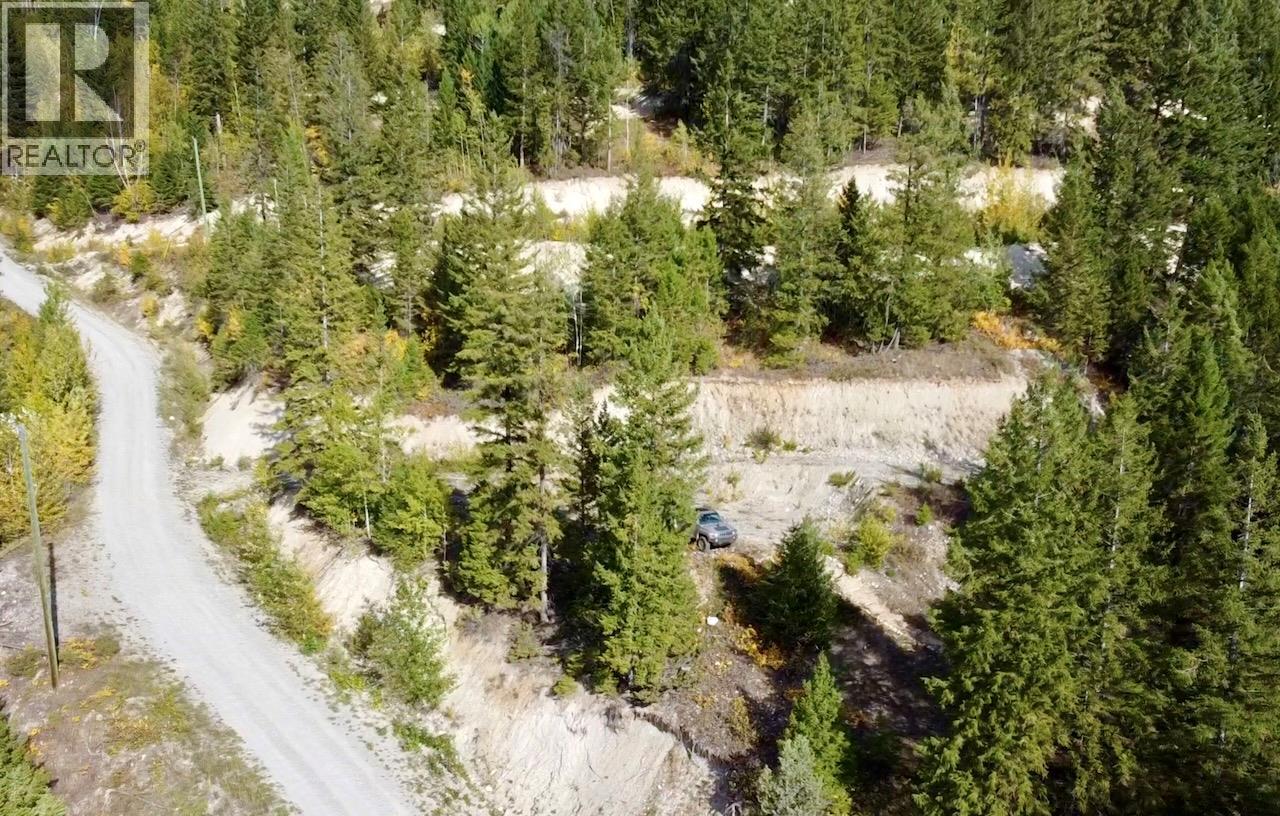 3483 95 Highway Lot# 2, Parson, British Columbia  V0A 1L0 - Photo 25 - 10366733