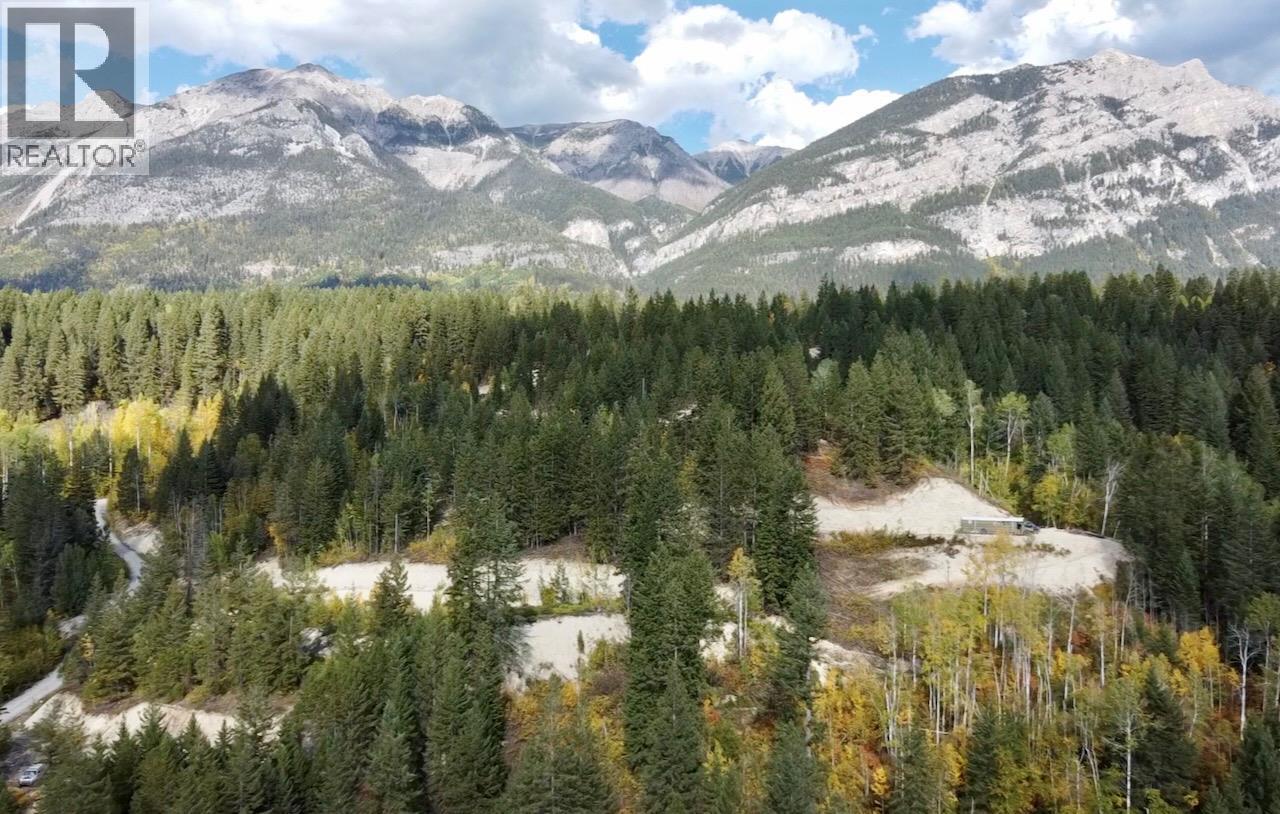 3483 95 Highway Lot# 2, Parson, British Columbia  V0A 1L0 - Photo 30 - 10366733