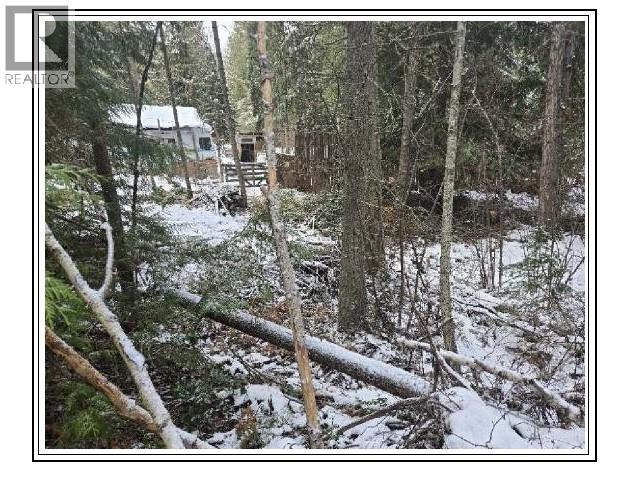 6601 Nixon Road, Appledale, British Columbia  V0G 2E0 - Photo 12 - 10366770