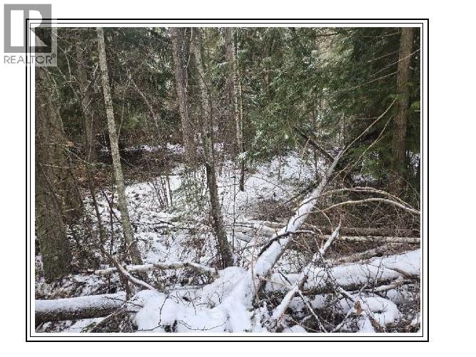 6601 Nixon Road, Appledale, British Columbia  V0G 2E0 - Photo 13 - 10366770