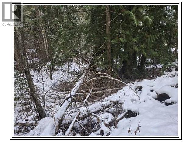 6601 Nixon Road, Appledale, British Columbia  V0G 2E0 - Photo 14 - 10366770