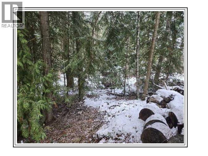 6601 Nixon Road, Appledale, British Columbia  V0G 2E0 - Photo 15 - 10366770