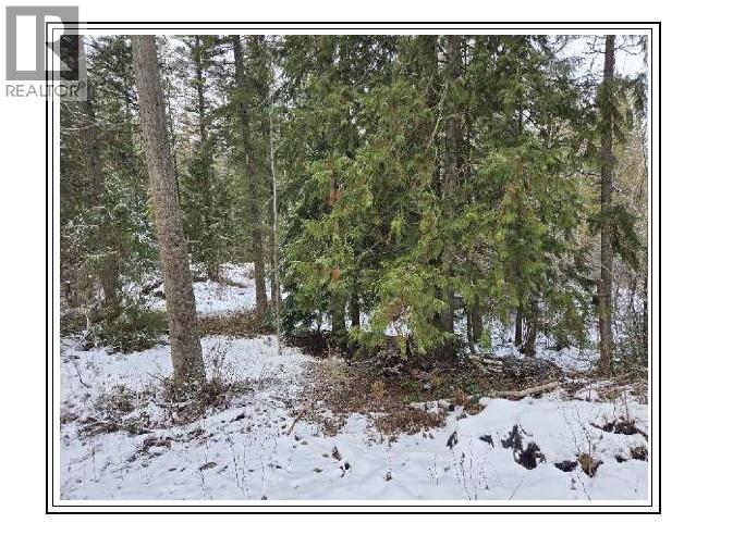 6601 Nixon Road, Appledale, British Columbia  V0G 2E0 - Photo 23 - 10366770