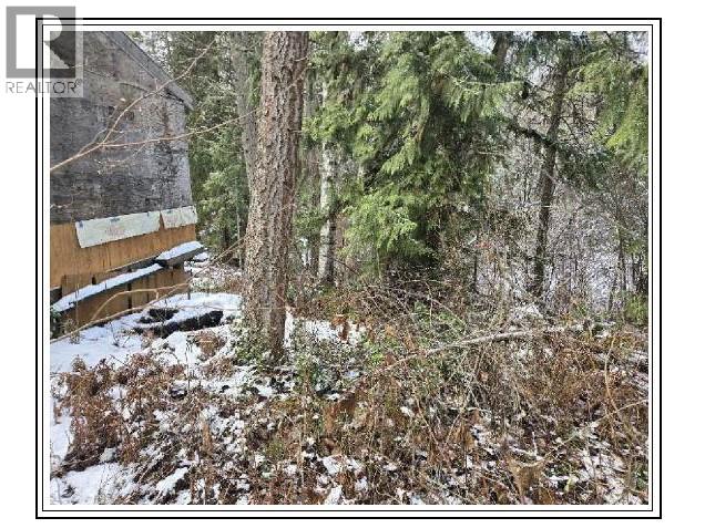 6601 Nixon Road, Appledale, British Columbia  V0G 2E0 - Photo 24 - 10366770