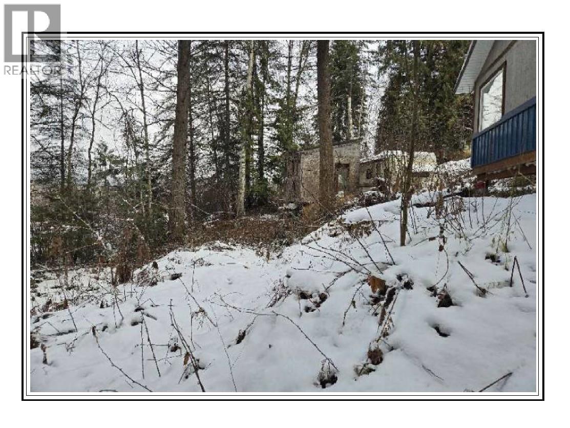 6601 Nixon Road, Appledale, British Columbia  V0G 2E0 - Photo 5 - 10366770