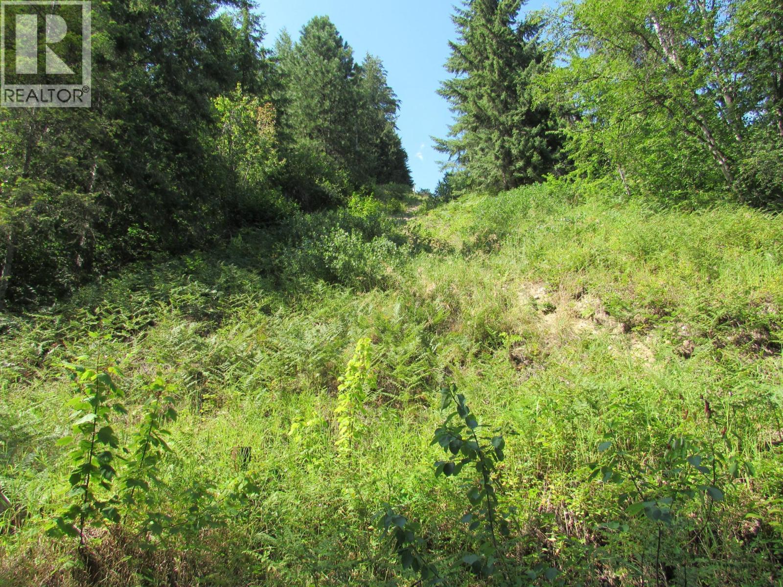 1365 Forest Road, Castlegar, British Columbia  V1N 4J4 - Photo 10 - 10366830