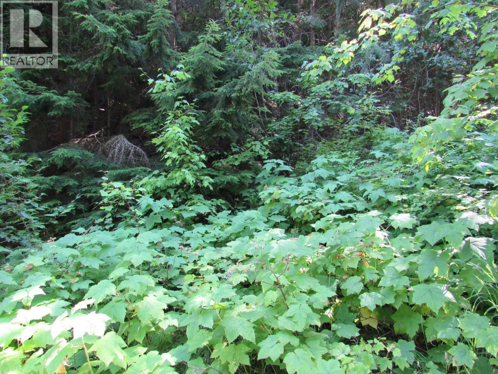 1365 Forest Road, Castlegar, British Columbia  V1N 4J4 - Photo 11 - 10366830