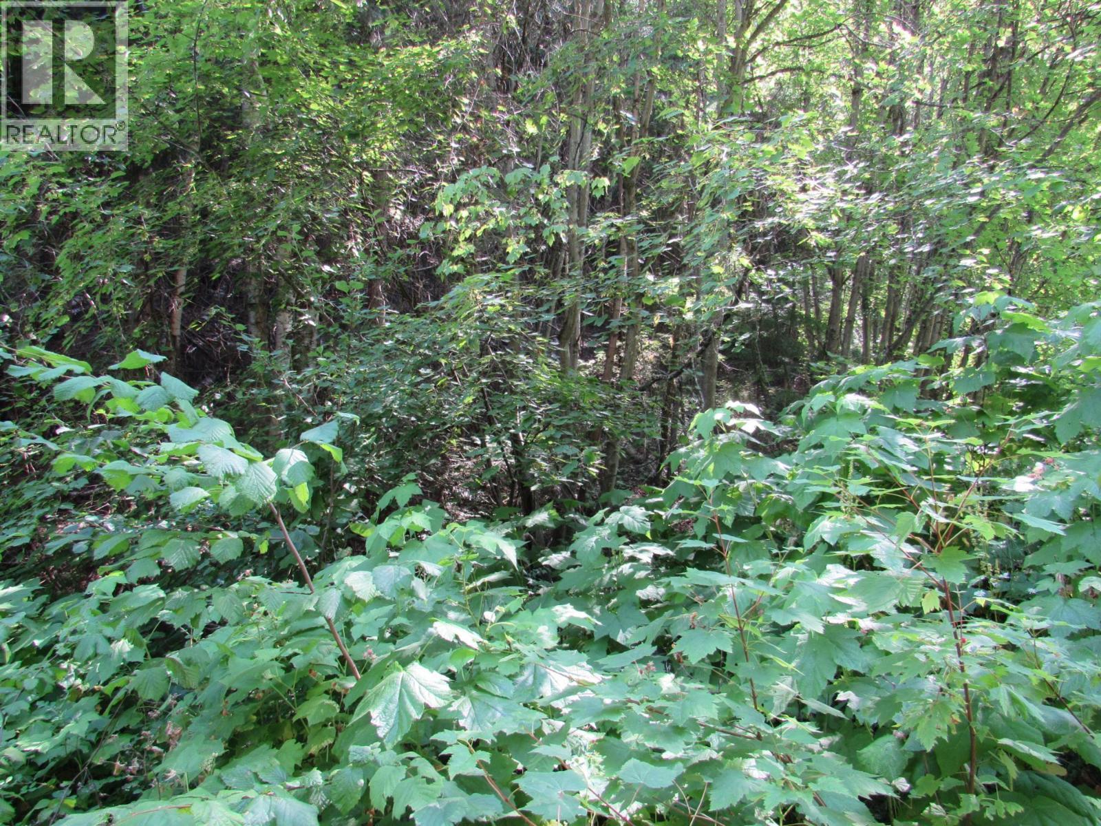 1365 Forest Road, Castlegar, British Columbia  V1N 4J4 - Photo 12 - 10366830