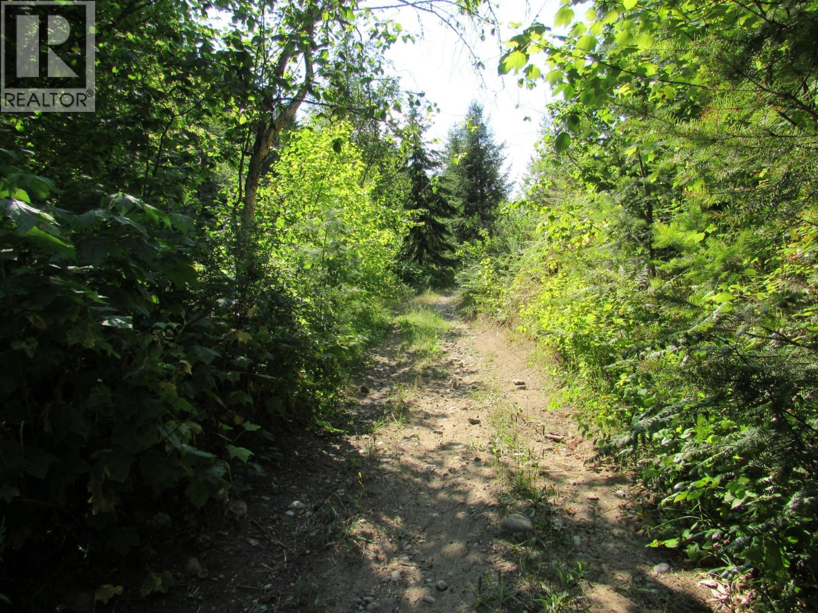 1365 Forest Road, Castlegar, British Columbia  V1N 4J4 - Photo 13 - 10366830