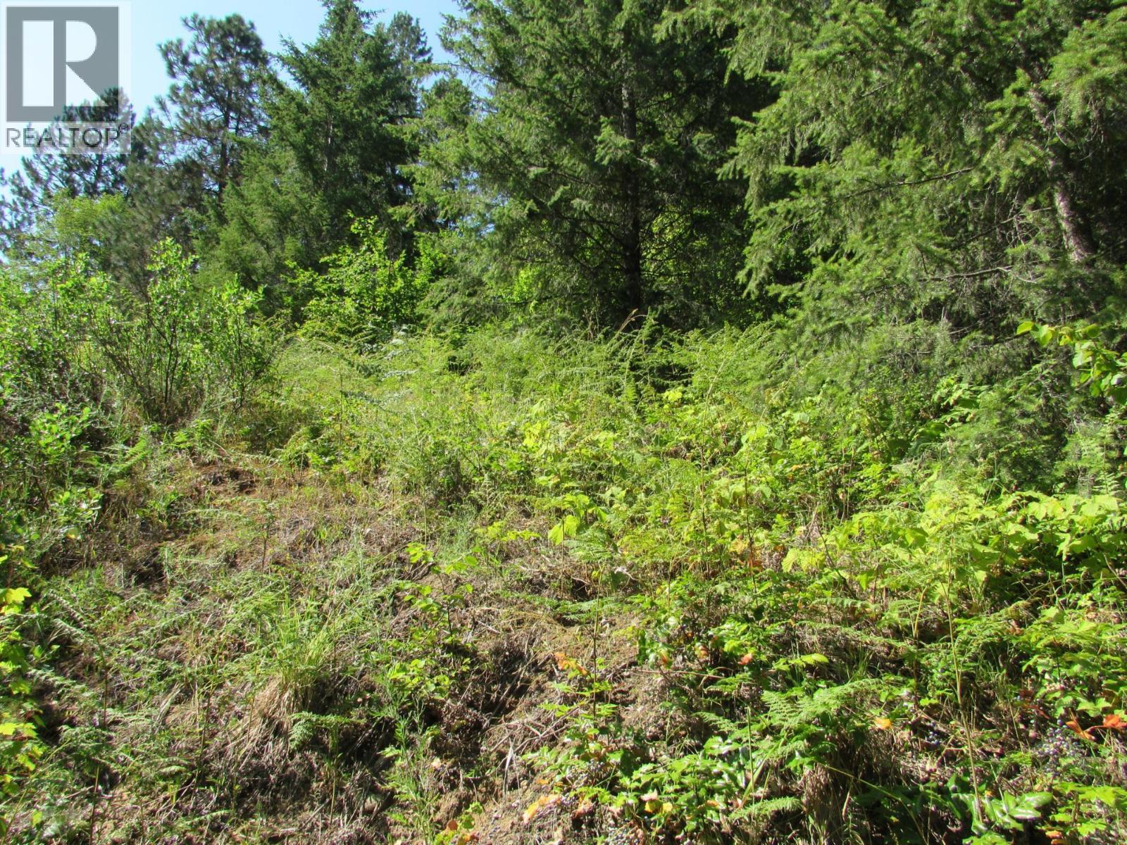 1365 Forest Road, Castlegar, British Columbia  V1N 4J4 - Photo 15 - 10366830