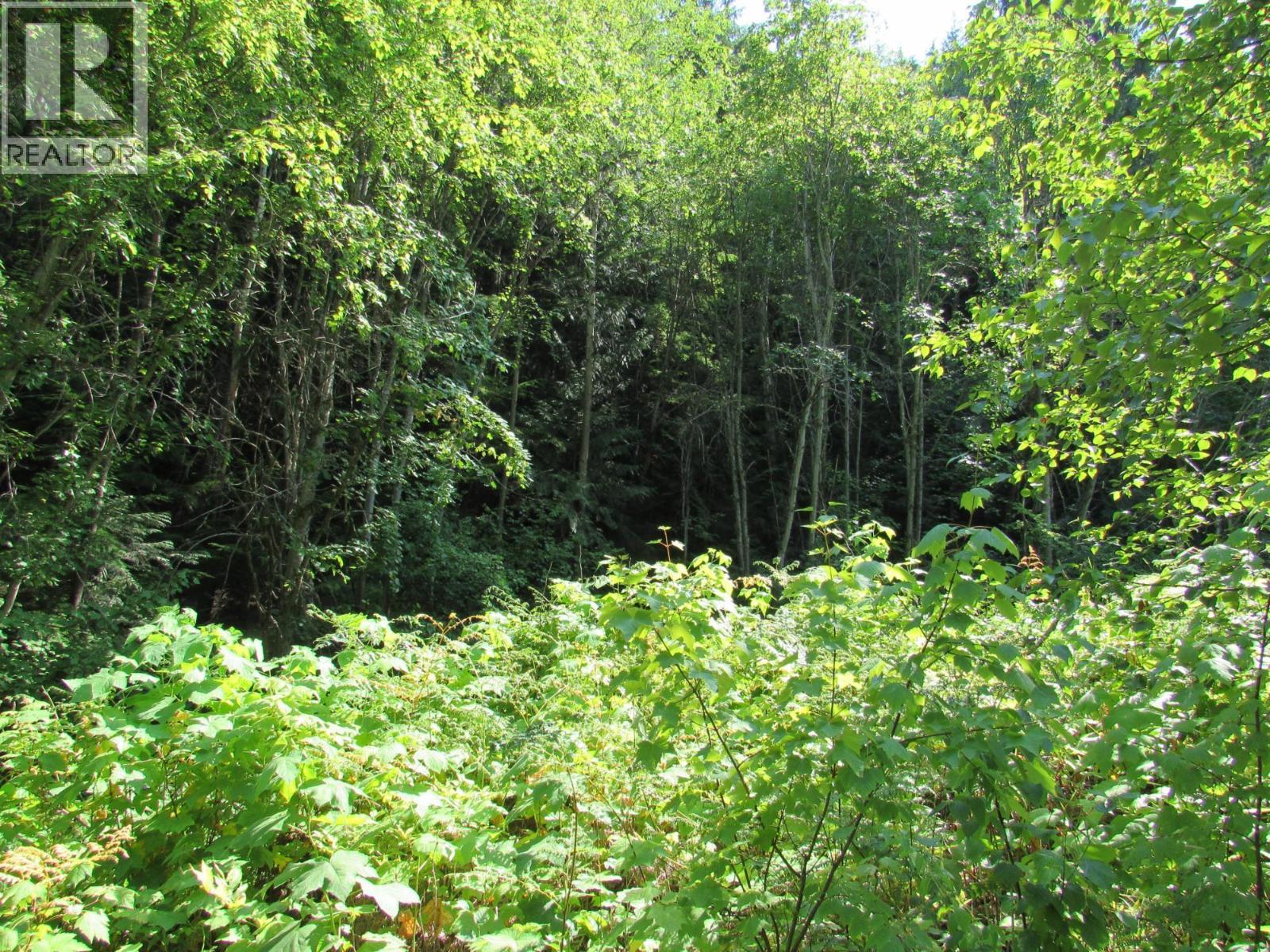 1365 Forest Road, Castlegar, British Columbia  V1N 4J4 - Photo 17 - 10366830