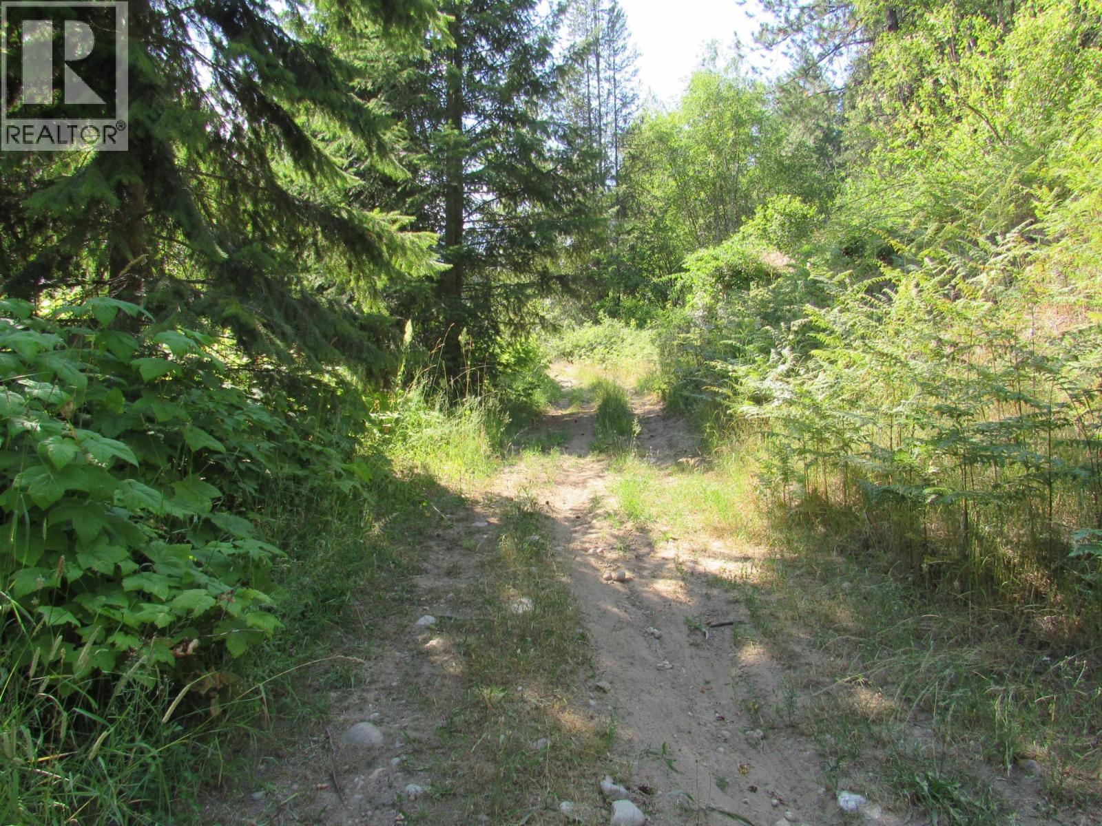 1365 Forest Road, Castlegar, British Columbia  V1N 4J4 - Photo 18 - 10366830