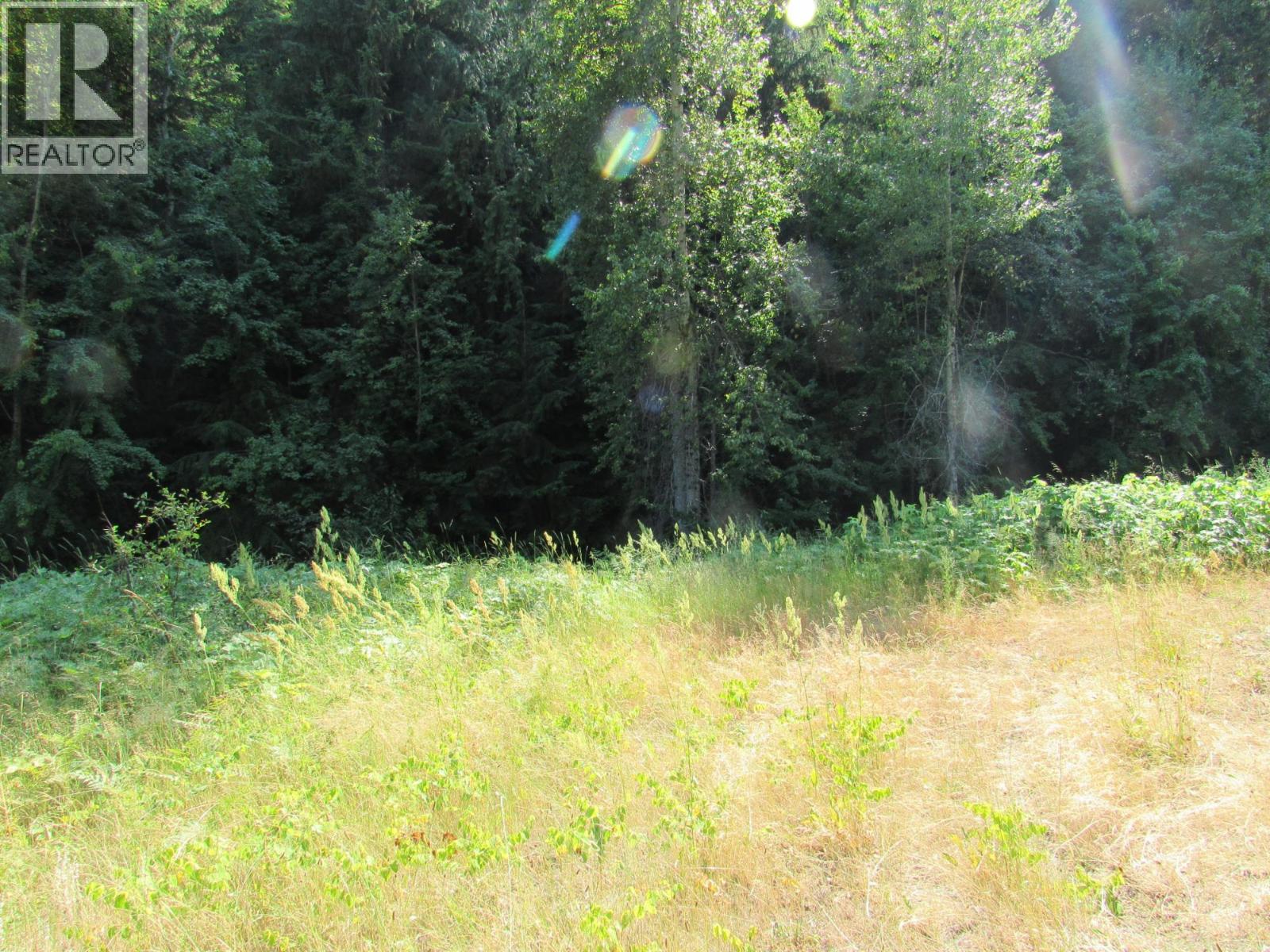 1365 Forest Road, Castlegar, British Columbia  V1N 4J4 - Photo 21 - 10366830