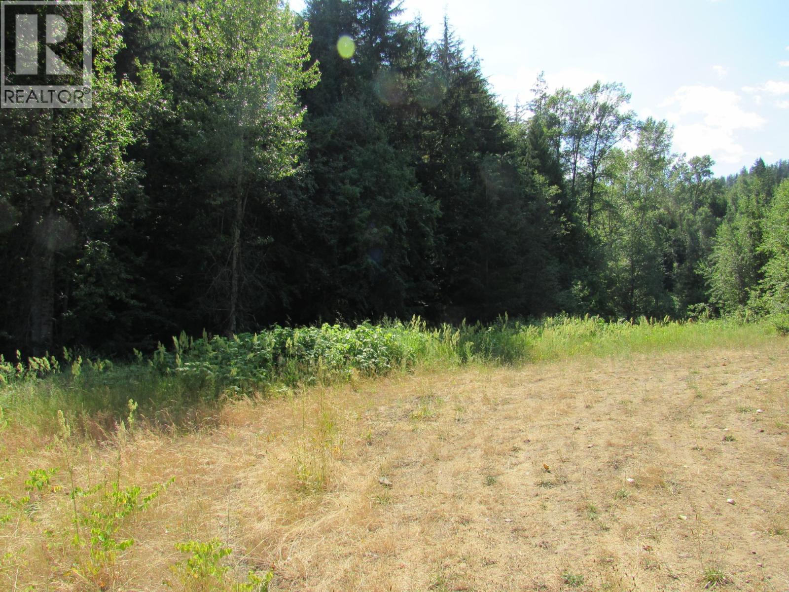 1365 Forest Road, Castlegar, British Columbia  V1N 4J4 - Photo 22 - 10366830