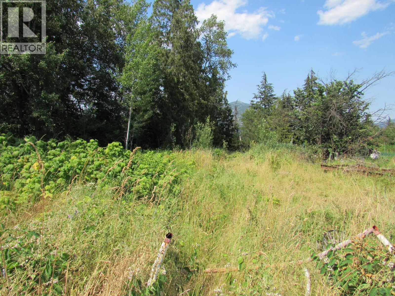 1365 Forest Road, Castlegar, British Columbia  V1N 4J4 - Photo 4 - 10366830