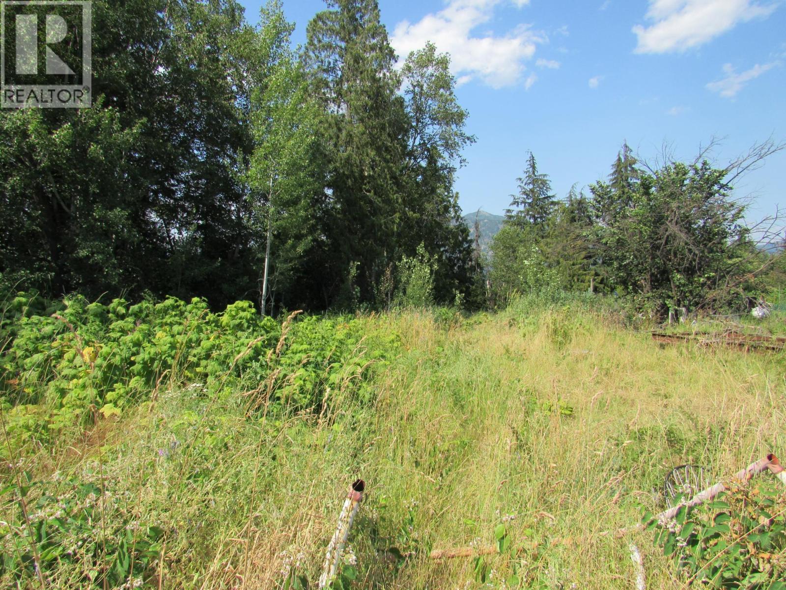 1365 Forest Road, Castlegar, British Columbia  V1N 4J4 - Photo 5 - 10366830