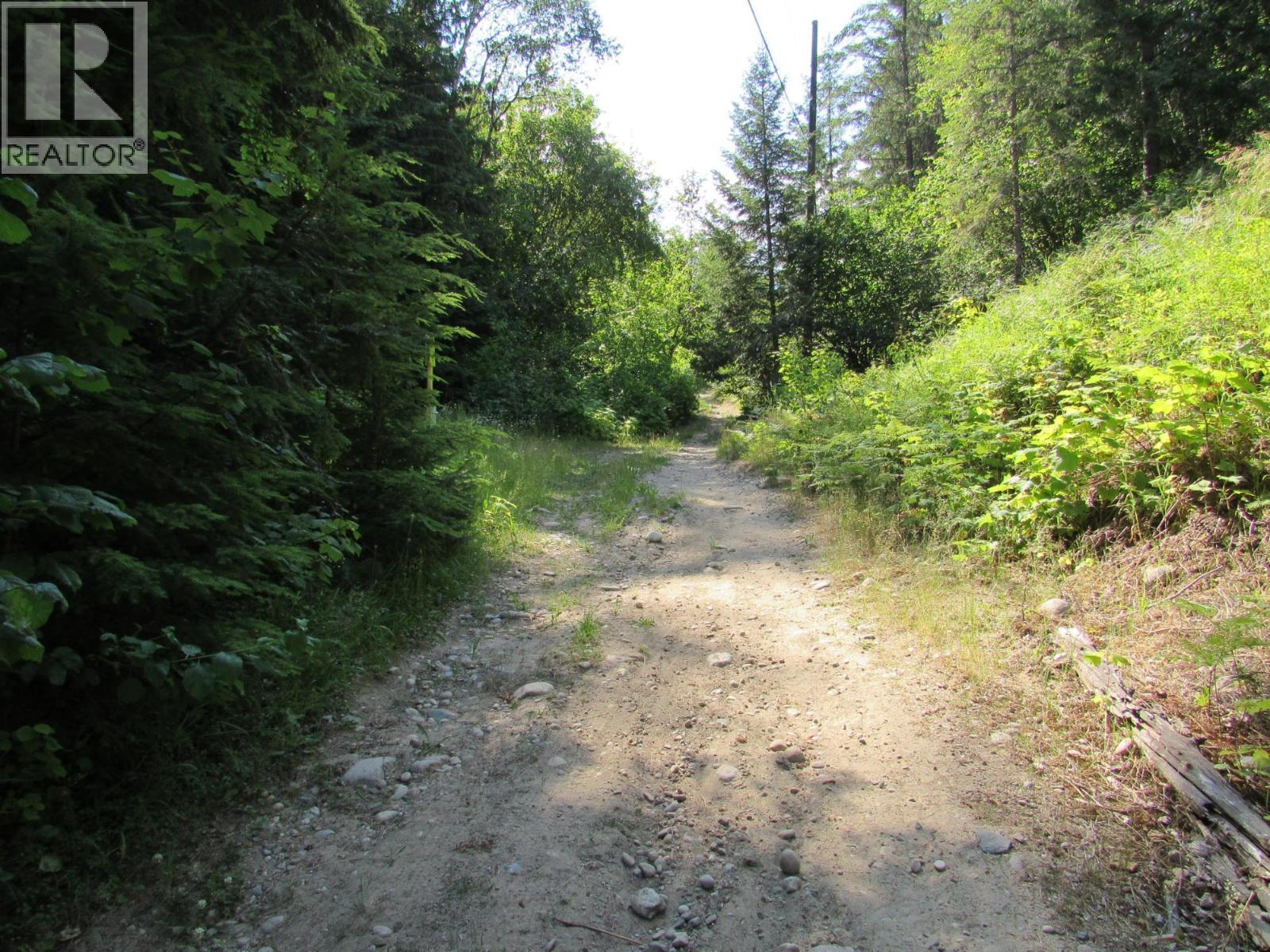 1365 Forest Road, Castlegar, British Columbia  V1N 4J4 - Photo 7 - 10366830