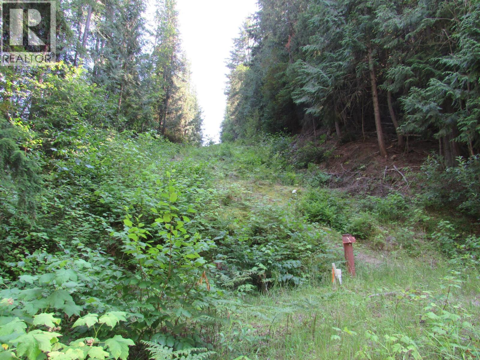 1365 Forest Road, Castlegar, British Columbia  V1N 4J4 - Photo 8 - 10366830