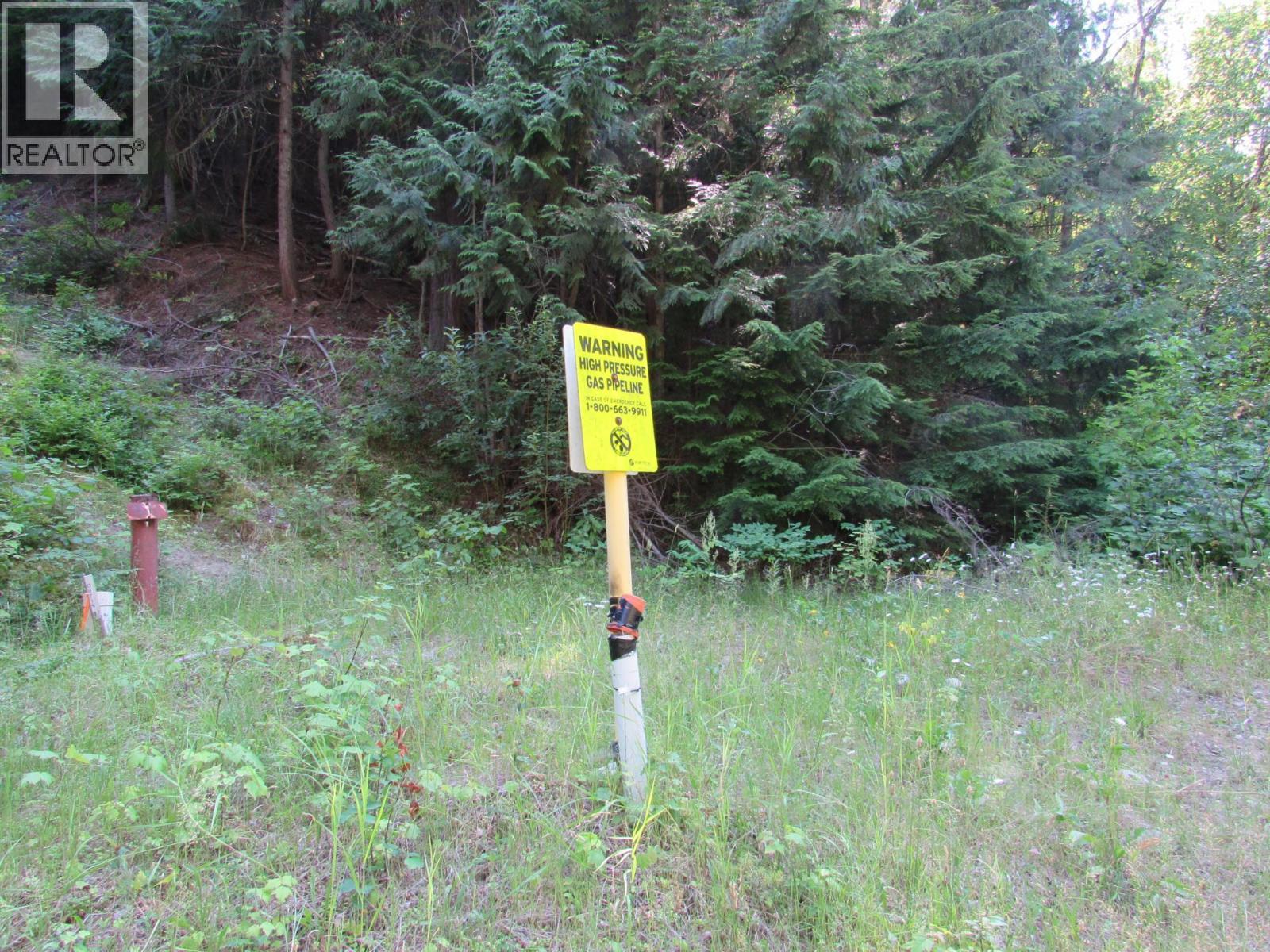 1365 Forest Road, Castlegar, British Columbia  V1N 4J4 - Photo 9 - 10366830