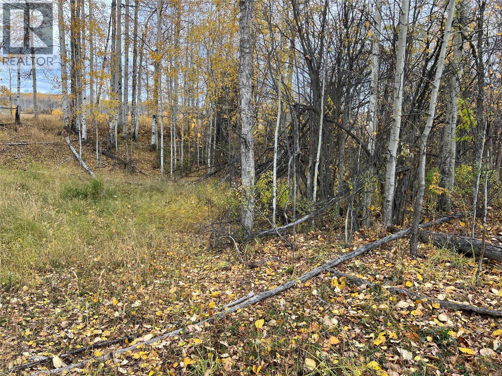 3466 218 Road, Dawson Creek, British Columbia  V1G 4E8 - Photo 12 - 10366889