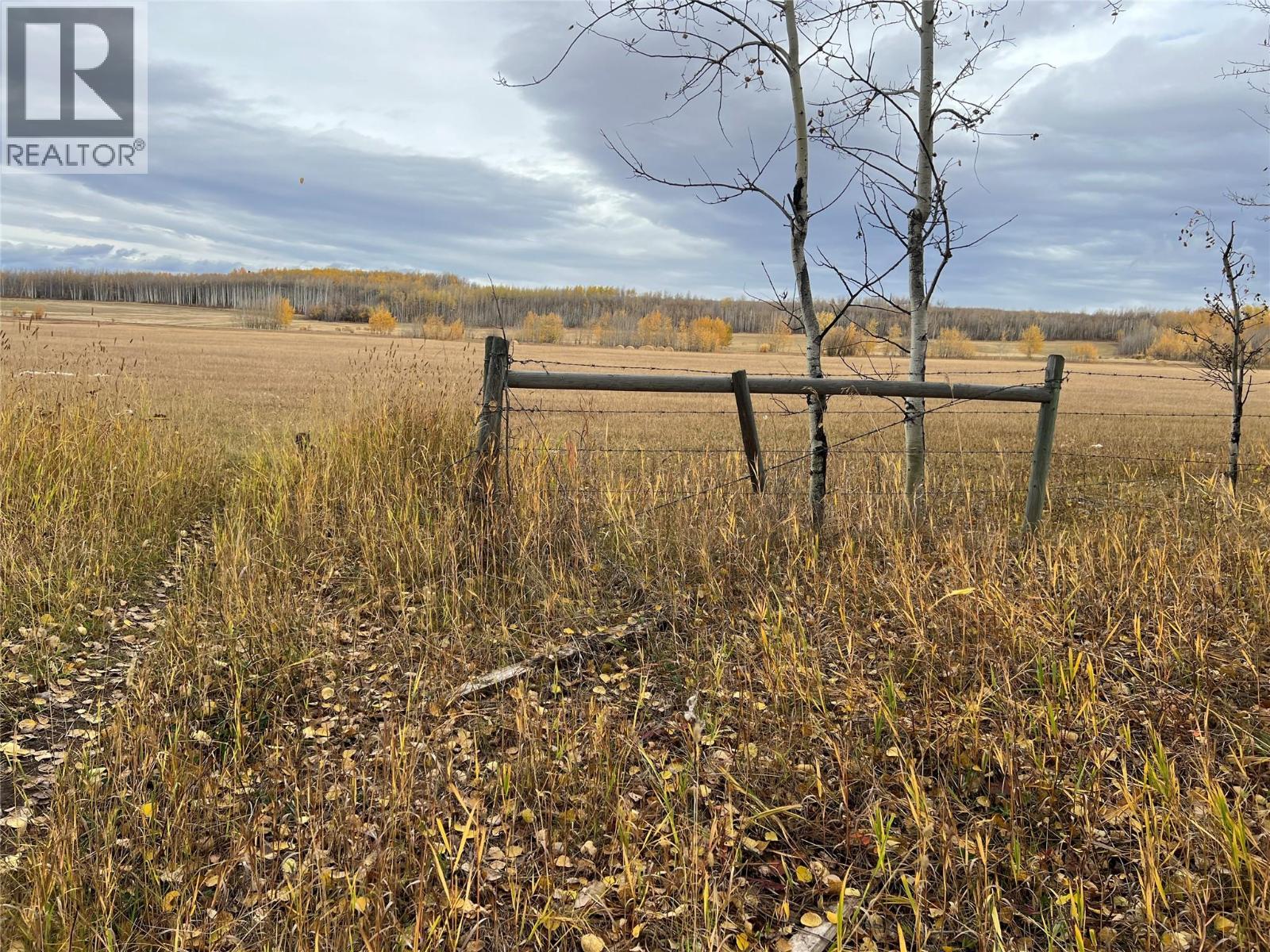 3466 218 Road, Dawson Creek, British Columbia  V1G 4E8 - Photo 13 - 10366889