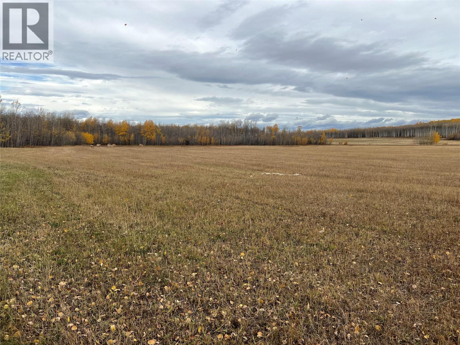 3466 218 Road, Dawson Creek, British Columbia  V1G 4E8 - Photo 14 - 10366889