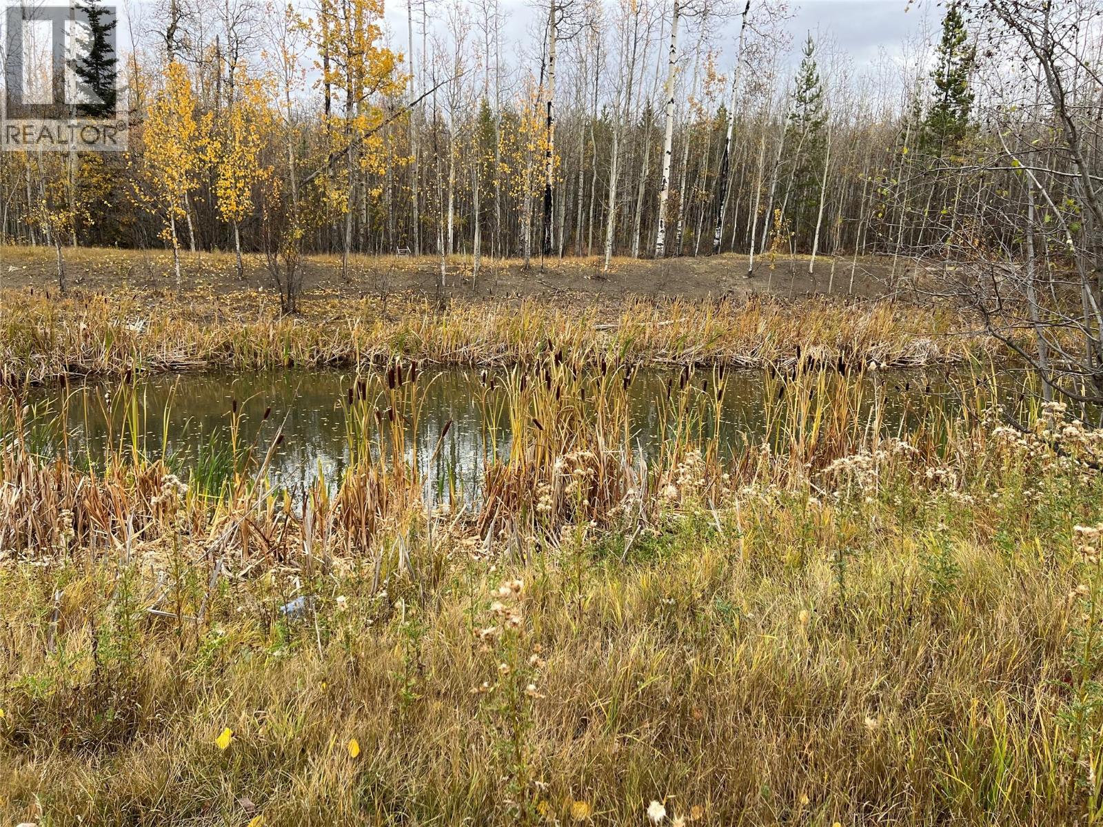 3466 218 Road, Dawson Creek, British Columbia  V1G 4E8 - Photo 18 - 10366889