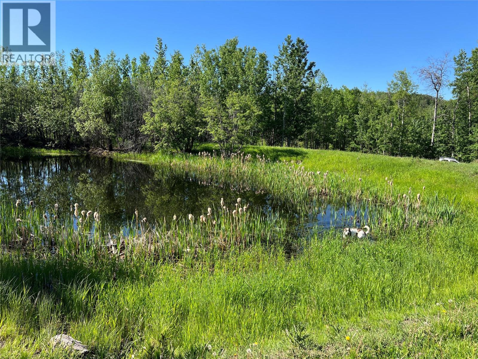 3466 218 Road, Dawson Creek, British Columbia  V1G 4E8 - Photo 21 - 10366889